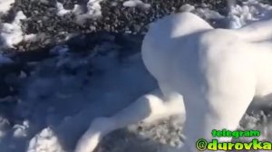 Прикол.вахтовики слепили путану из снега.