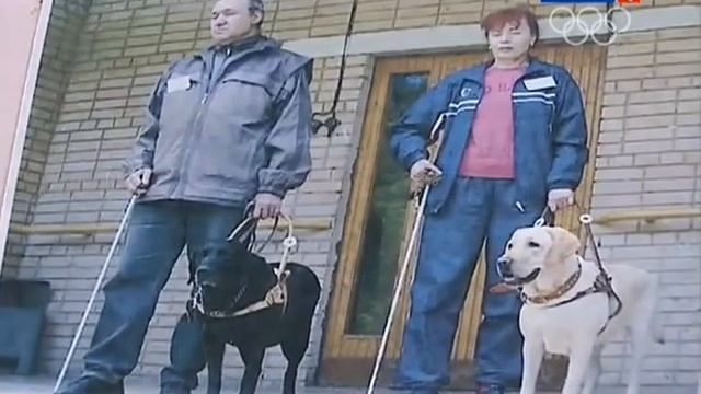 Спокойной ночи малыши 4 февраля 2014 смотреть онлайн