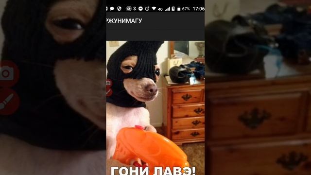 Смешные картинки из РЖУНИМАГУ! смотреть онлайн