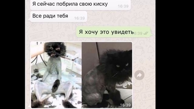 Удали мой номер смотреть онлайн