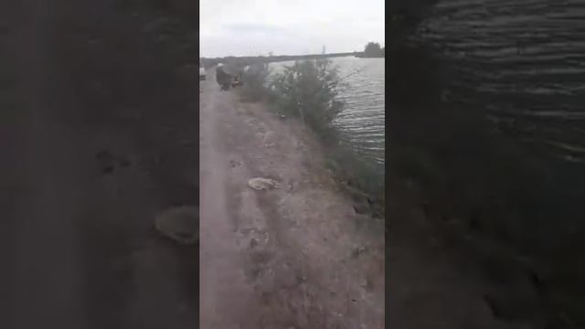 каракалпакстан казак даря 05 05 2023 смотреть онлайн