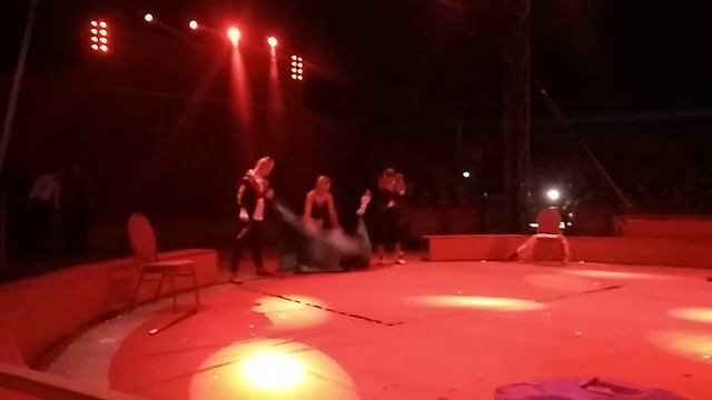 Цирк Кобзов(1)