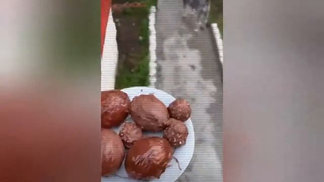 Приколы с яйцом просто хохма смотреть онлайн