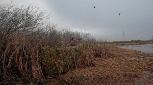 Весенняя охота на утку. 25-27.04.25