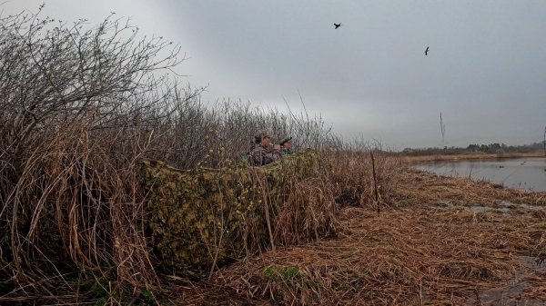 Весенняя охота на утку. 25-27.04.25