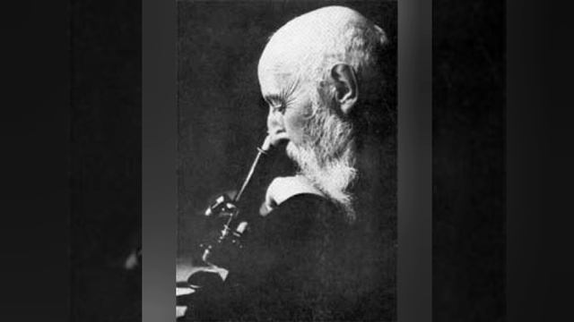 Мохов касаллиги тарихи ва уни даволаш. Moxov Kasalligi Tarixi Va Uni Davolash.