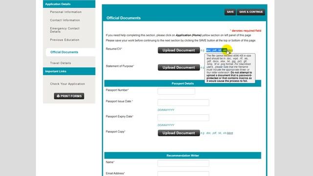 Application Form | Что это такое? Как она выглядит? Как заполнять Application Form? смотреть онлайн
