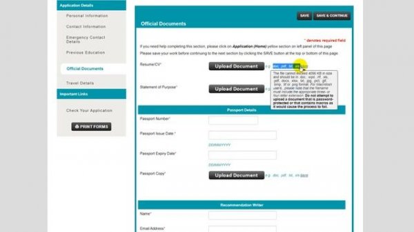 Application Form | Что это такое? Как она выглядит? Как заполнять Application Form?