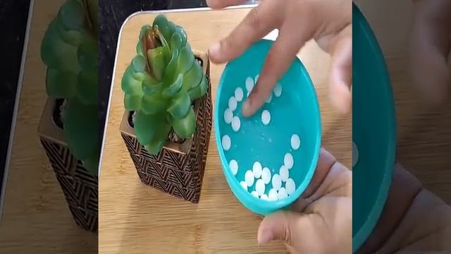 ECHALE ESTAS PASTILLA A TUS PLANTAS Y CRECERAN GIGANTE Y HERMOSAS #shorts