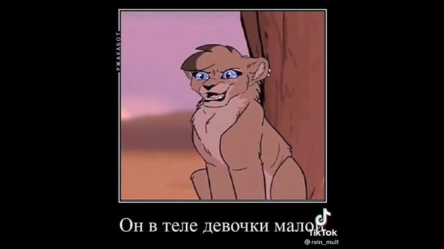 Подборка из ТТ Мой прайд #2 смотреть онлайн