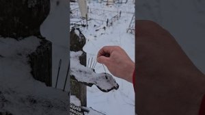 ПОРЧА НА СМЕРТЬ ЧЕРЕЗ ИГЛУ