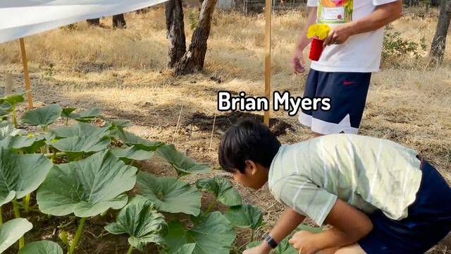 How I Grew A GIANT Pumpkin Close To 500 Pounds!