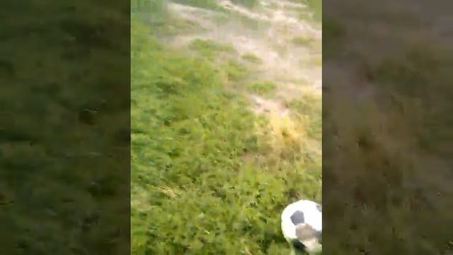 Футбол реал мадрид против барселоны смотреть онлайн