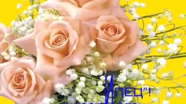 С Днем рождения подруга! смотреть онлайн