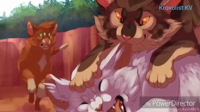 КОТЫ ВЛИТЕЛИ СНЕЖОК