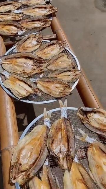Wow Fresh Water Fishing ( Fish, Eel, Crab, Lobster, Shrimp, Turtle) - #Short Video#174 смотреть онлайн