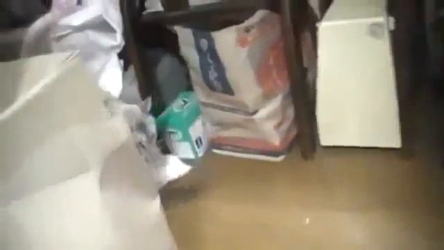 кошка уборщица смотреть онлайн