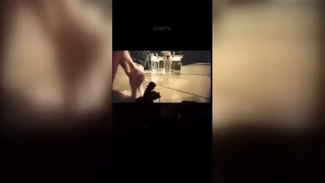 Смешные приколы: рецепт смеха от эксперта в угаре! | Laughing is allowed: 2024. смотреть онлайн