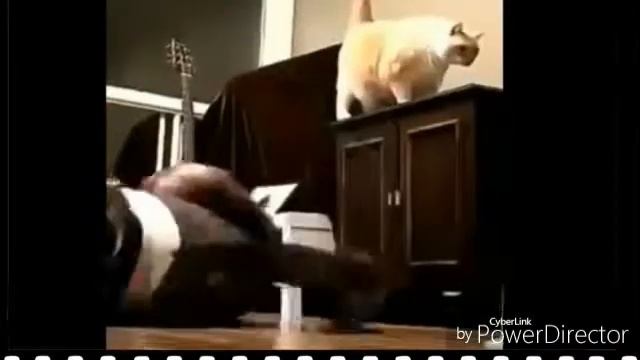Странный юмор смотреть онлайн
