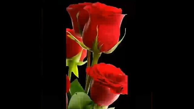 Елена просто так доброго вечера 🍇🍒🍎🍉я тебя люблю❤💘💋👄 смотреть онлайн