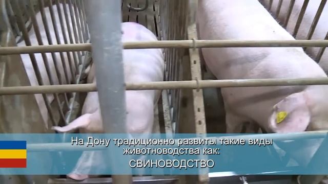 Организация конференций и торговых выставок смотреть онлайн