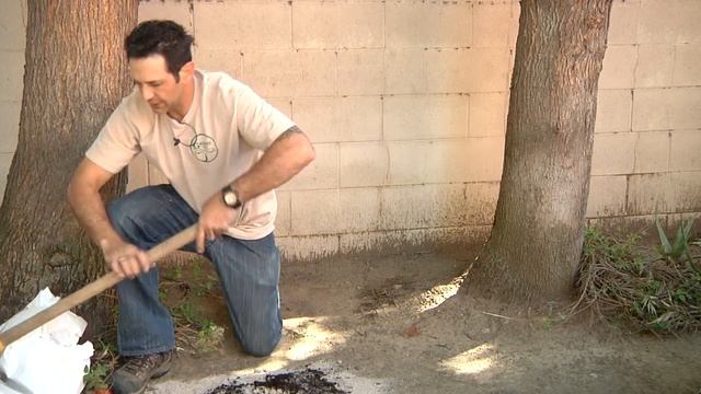 Using Soil : What to Mix With Clay Soil to Aerate It смотреть онлайн