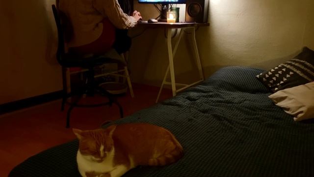 Рабочие и выходные дни монтажёра