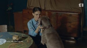 В преддверии Дня победы на экраны вышла история о собаке по кличке Каруза