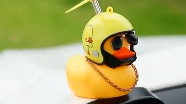 утка в шлеме