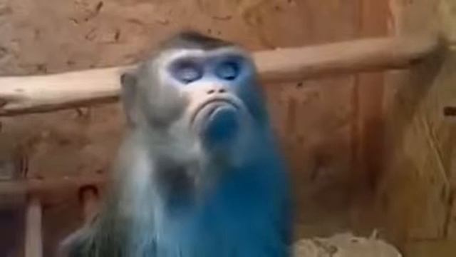 Супер прикол не подходи ко мне я обиделась смотреть онлайн