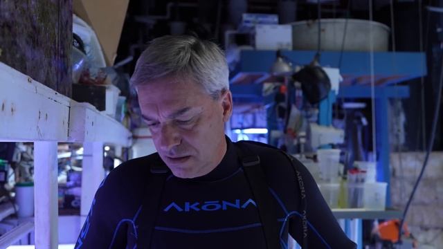 Diving at the Long Island Aquarium's 20,000 gallon reef tank смотреть онлайн