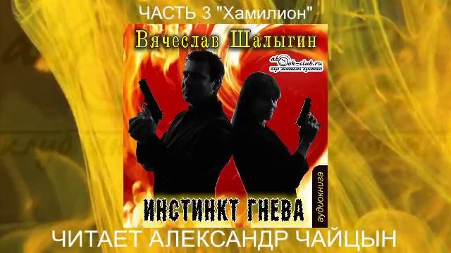 01.03 Вячеслав Шалыгин "Сыщик Туманов" (книга 1) "Инстинкт гнева" (часть 3)