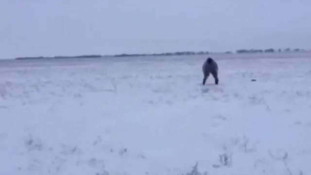 СМЕШНЫЕ СЛУЧАИ НА ОХОТЕ / ПРИКОЛЫ НА ОХОТЕ смотреть онлайн