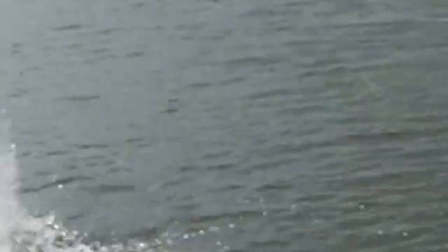 Прикол!Жена снимает на видео. смотреть онлайн