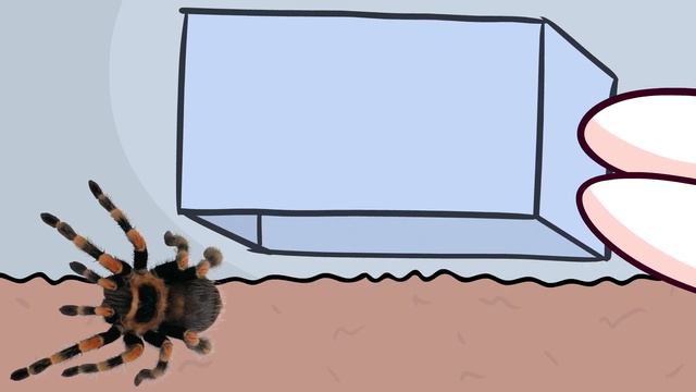 МОИ ПИТОМЦЫ (Анимация) смотреть онлайн