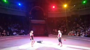 Акробатическая пара в цирке /Выступление акробатов / Акробаты пара /Пара акробатов Acrobatic duo