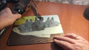 ||НАРУЧНИКИ БРС-3 конвойные и РЕЗИНОВАЯ ДУБИНКА ПР-89||