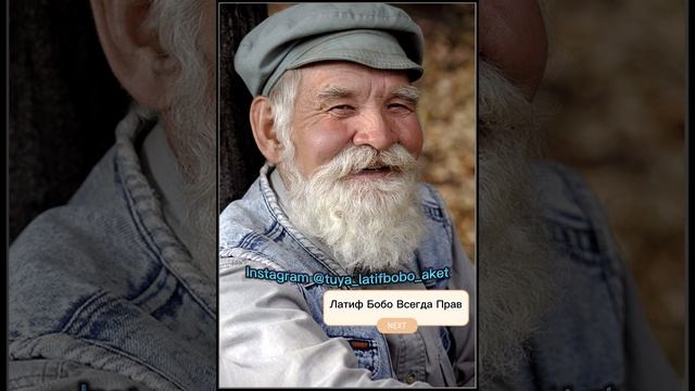 Латиф Бобо 400$ Latif Bobo 400$ 😂 #uzbekistan #bukhara #tashkent #snake #navoi #samarkand #america