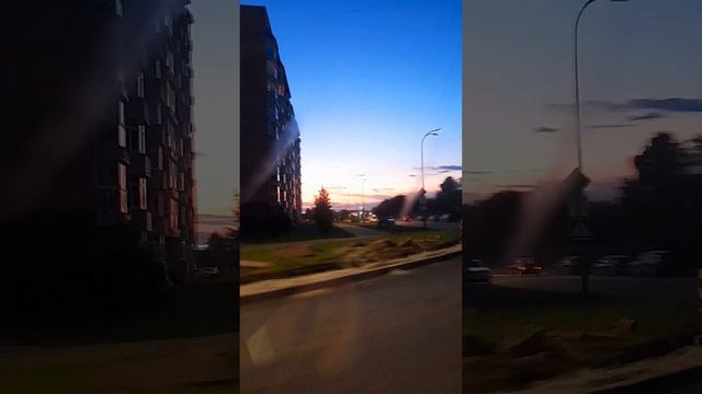 отпуск в Кемерово, лесная поляна