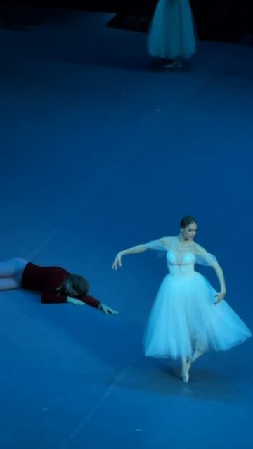 Элеонора Севенард  Жизель #bolshoitheatre #balerina #classicalballet #gizelle самый красивый балет