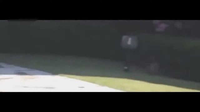 Бассейн и кот !!! Смешные животные! Приколы! Смешные коты! Шоу!/ Funny animals! Fun! Funny Cats! смотреть онлайн