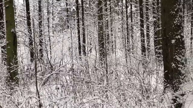 ПАКЕТ С МУСОРОМ, ВМИГ ВЫДАЛ ЖЕНУ. Реальные истории из жизни. Интересные любовные аудио рассказы. смотреть онлайн