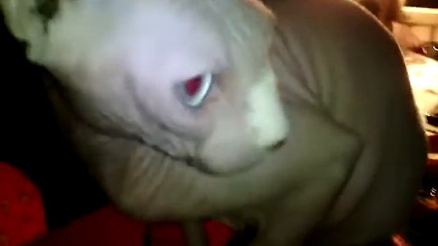 Туся говорит прикол 2016года рекоминдую смотреть онлайн