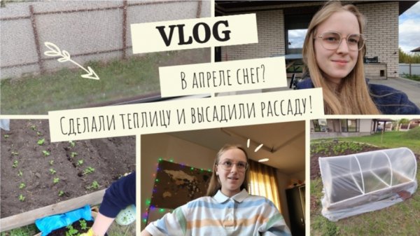 VLOG В апреле снег?❄️ Сделали теплицу и высадили рассаду!🌱