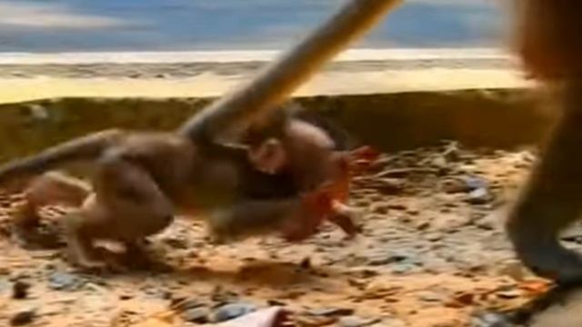 Унижайся и проси, результат обязательно будет 1000002157.mp4 смотреть онлайн