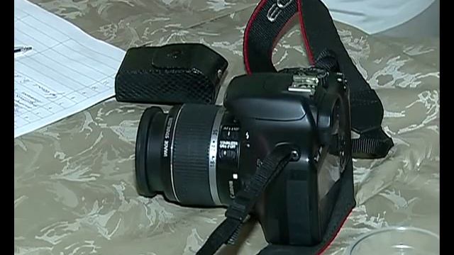 Рыбинский фестиваль "Кинорыбка" становится всё популярнее смотреть онлайн