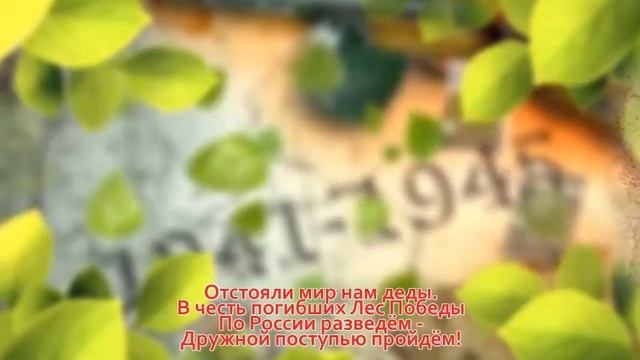 Лес Победы МОУ Карасёвская СОШ смотреть онлайн