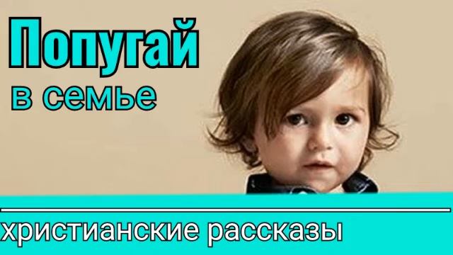 💮ИНТЕРНСНЫЙ ХРИСТИАНСКИЙ РАССКАЗ - Попугай в семье | Интересные христианские рассказы смотреть онлайн