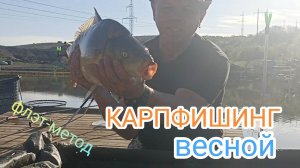 КАРПФИШИНГ 2025! Рыбалка на карпа весной, на озере Утиное. Ловля карпа в апреле, на флэт- метод.
