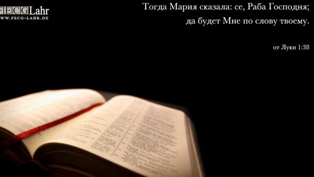 Что предшествует славе | Was der Herrlichkeit vorausgeht. Jevgeni Sitnik смотреть онлайн